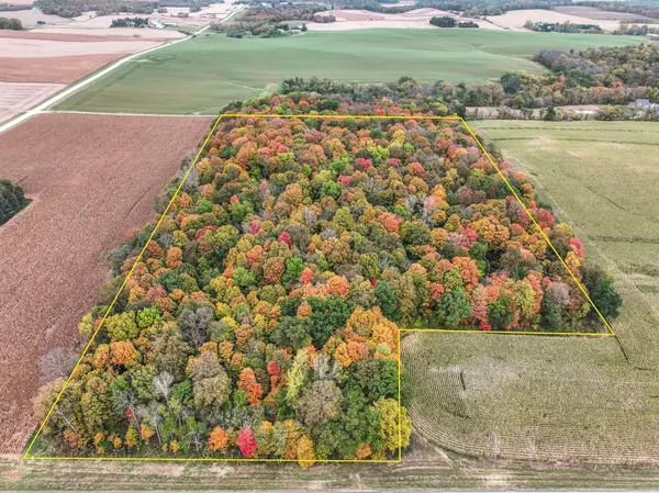 tbd 75th ST NW, Pine Island, MN 55963