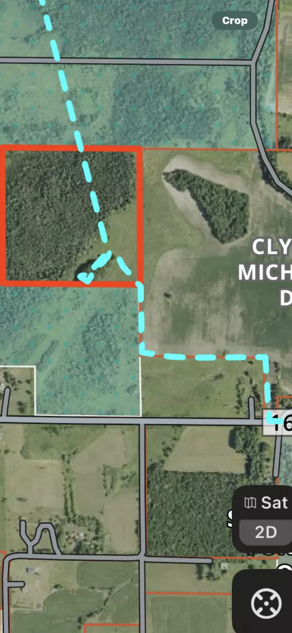 Dalbo Twp, MN 55017,TBD 401st AVE NW