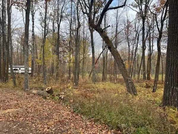 Willow River, MN 55795,81091 Denham RD