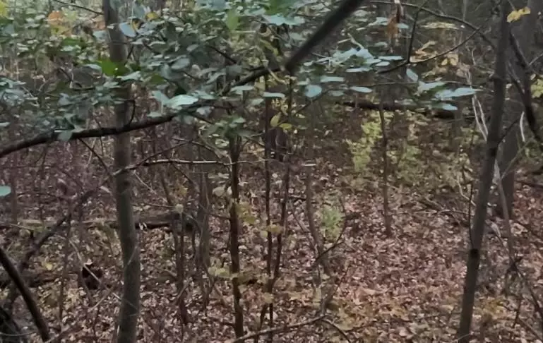 TBD minimum maintenance, Pine City Twp, MN 55063