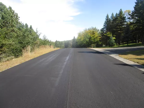 New London Twp, MN 56273,18254 Norway Woods Circle