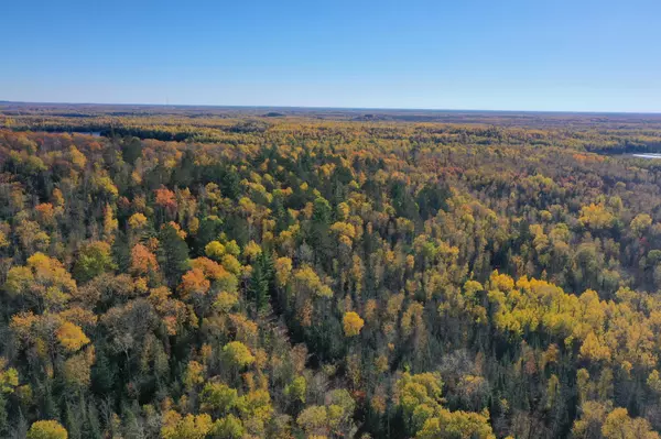 Chisholm, MN 55719,TBD French Rd.