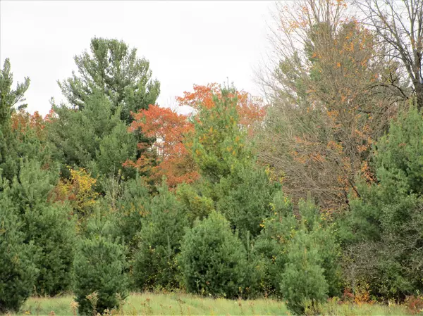 Frederic, WI 54837,Parcel 1 90th ST