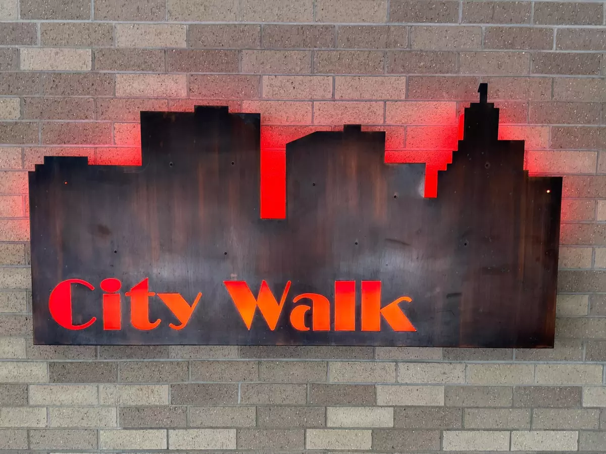 Saint Paul, MN 55101,66 9th ST E #1613