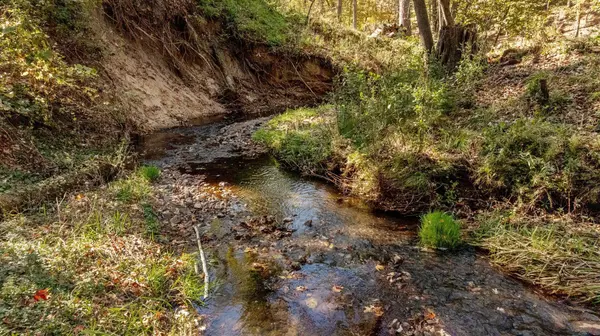 Brainerd, MN 56401,1622 Graydon AVE