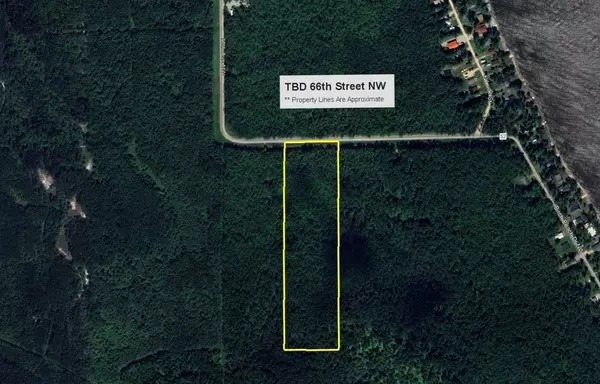 Williams, MN 56686,TBD 66th ST NW