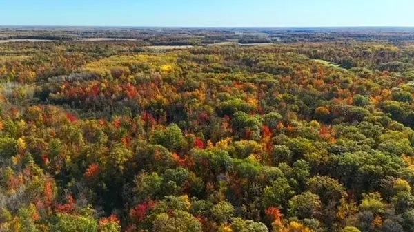 Brook Park, MN 55007,TBD Skyview ST