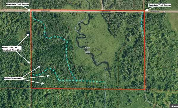 Sandstone, MN 55072,xxx Rutabaga Road