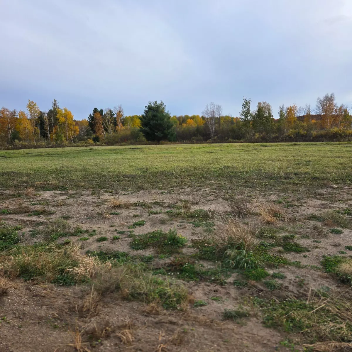 Hillman, MN 56338,TBD 1 Gregory LOOP