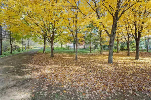 Kasota Twp, MN 56082,732 Rabbit RD