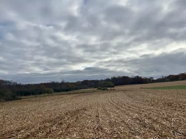 TBD (L2B1) Packard ST NE, Stanchfield Twp, MN 55080