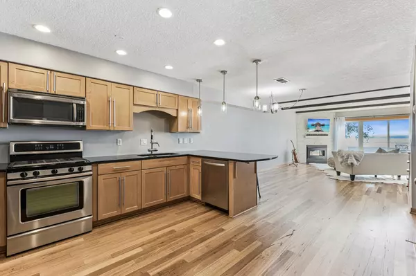 Spring Park, MN 55384,4 Shoreline PL