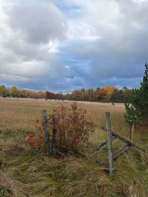 TBD Lot C Gunpowder RD, Center Twp, MN 56465