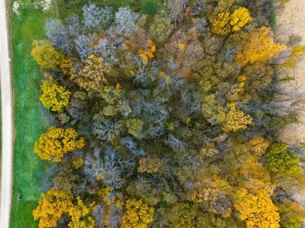 Bridgewater Twp, MN 55019,32XX 121st ST E