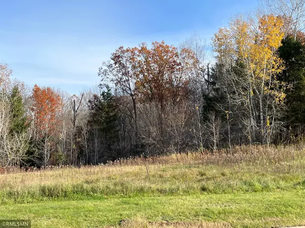 Luck, WI 54853,LOT 6 Wilderness Hills LN