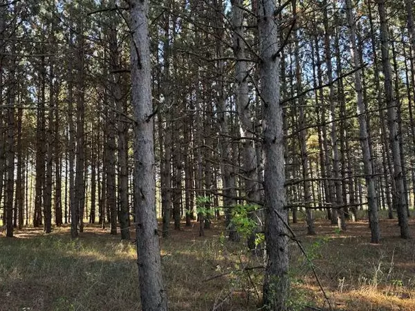 Carlos, MN 56319,xxx Emerald Court NE