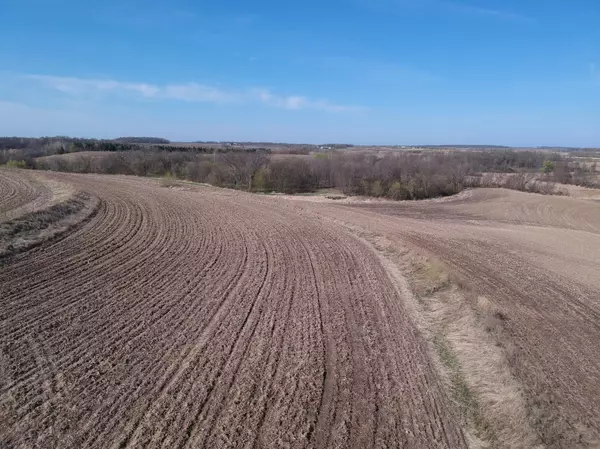 Shieldsville Twp, MN 55021,TBD Lake Avenue