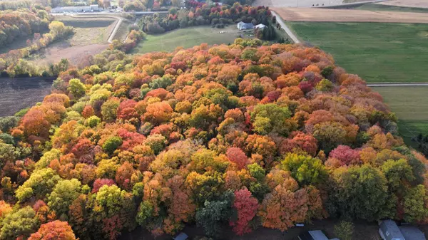 Waconia, MN 55387,11275 66th ST