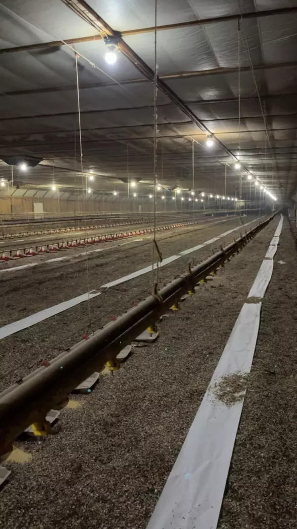 Holdingford, MN 56340,TBD County Road 3