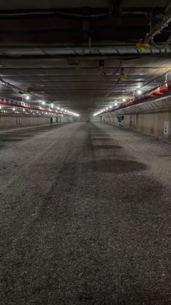 Holdingford, MN 56340,TBD County Road 3