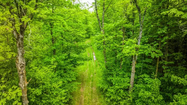 Tenstrike, MN 56683,0000 Deervine TRL NE