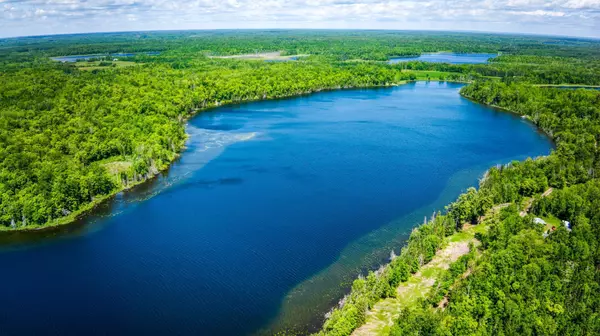 0000 Deervine TRL NE, Tenstrike, MN 56683