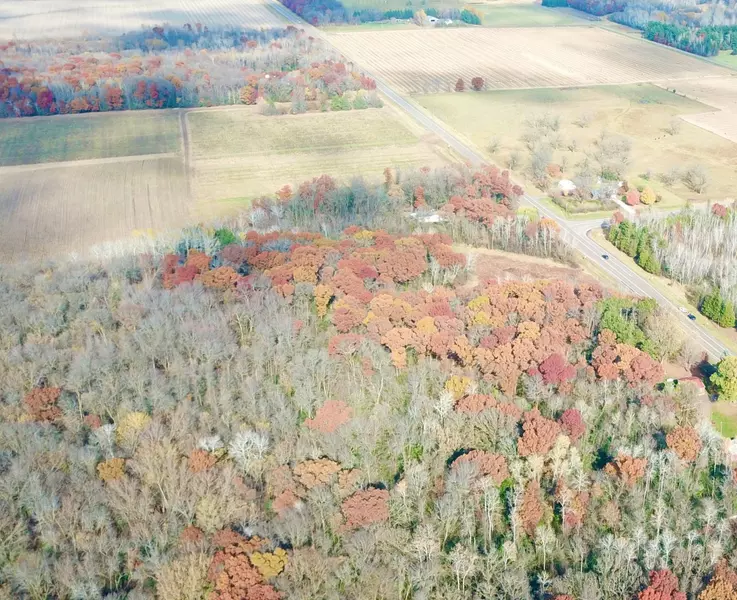 TBDx 165th AVE SE, Santiago Twp, MN 55319