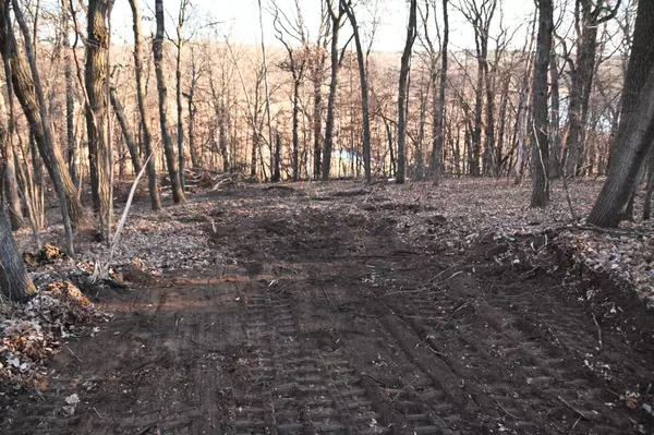 Fawn Lake Twp, MN 56438,TBD Overland DR