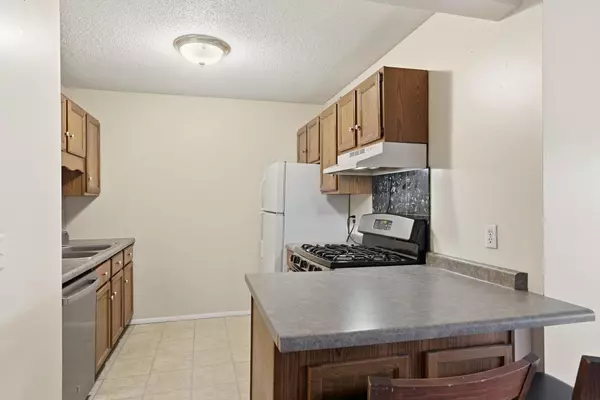 Fridley, MN 55432,1601 N Innsbruck DR #220NE