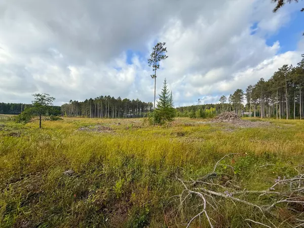 Nevis, MN 56467,xxx County Road 119