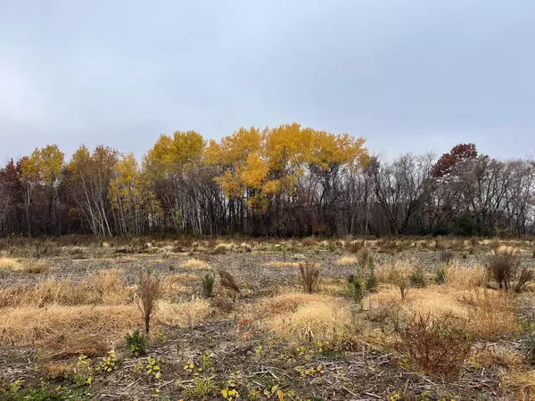 TBD (Lot 1) Brunswick RD, Stanchfield, MN 55080