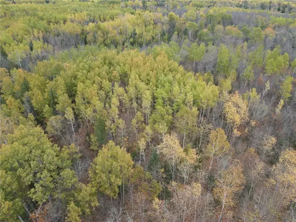 Bigfork, MN 56628,53411 Lynx Lake RD