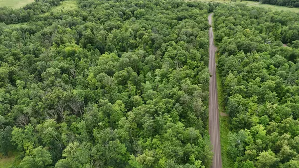 Hillman Twp, MN 55051,1853 295th AVE