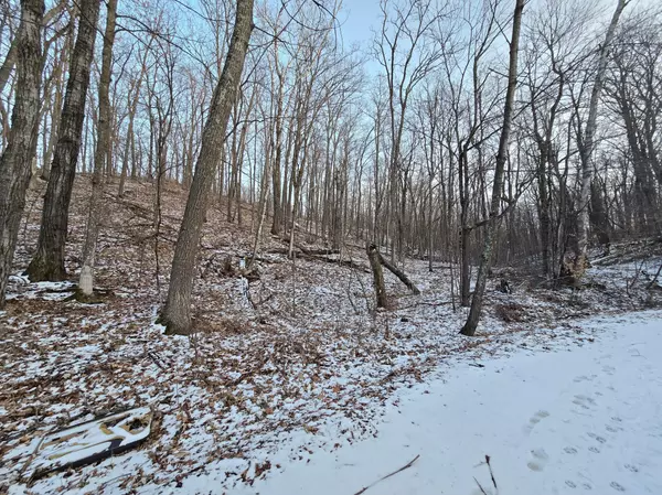 Garrison, MN 56450,Lot25Blk1 Westward Ho