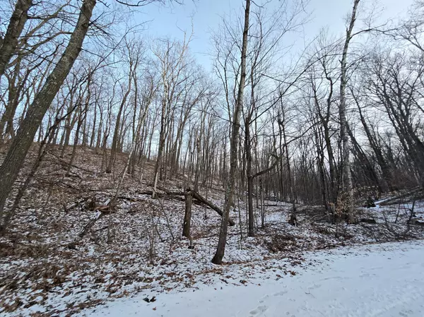 Garrison, MN 56450,Lot25Blk1 Westward Ho