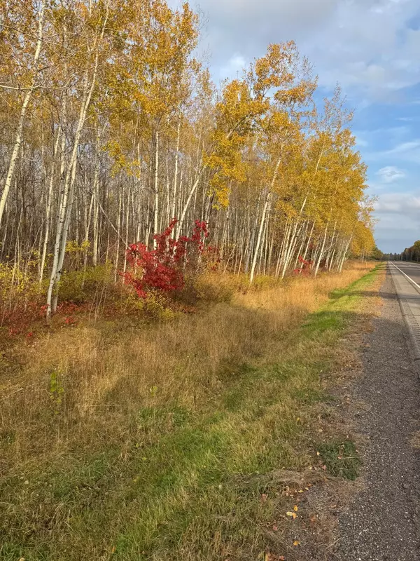 Jacobson, MN 55752,14 Acres State Highway 200
