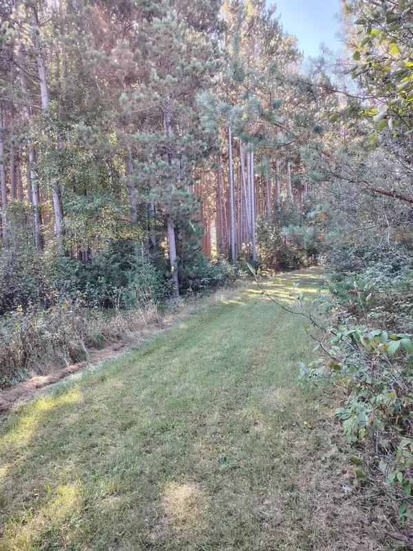 Badoura Twp, MN 56467,TBD County Rd 87