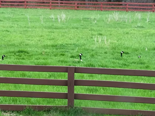 Brainerd, MN 56401,12049 Firefly LN