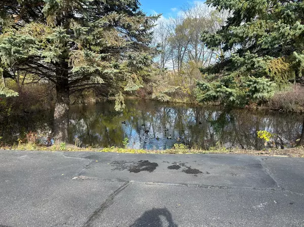 Rogers, MN 55374,12565 Marion CT