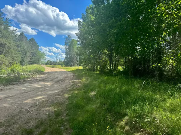 Pine River Twp, MN 56435,Parcel C 24th Ave SW