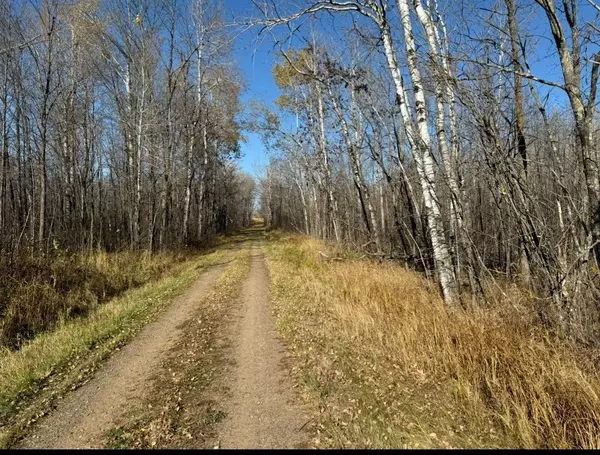 XXX Dam Lake Street, Lee Twp, MN 56431