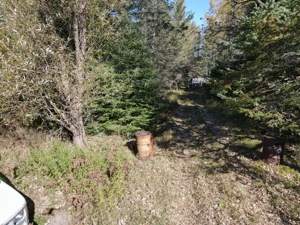 Gilbert, MN 55741,6269 E Heritage TRL