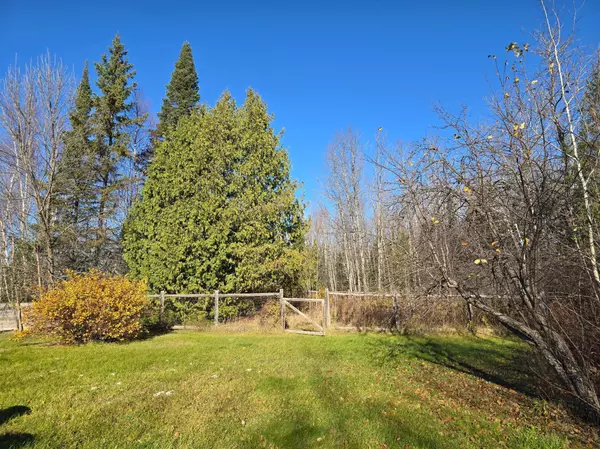 International Falls, MN 56649,3111 Highway 332