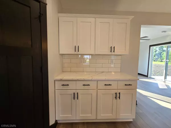 Ellendale, MN 56026,707 Council CT