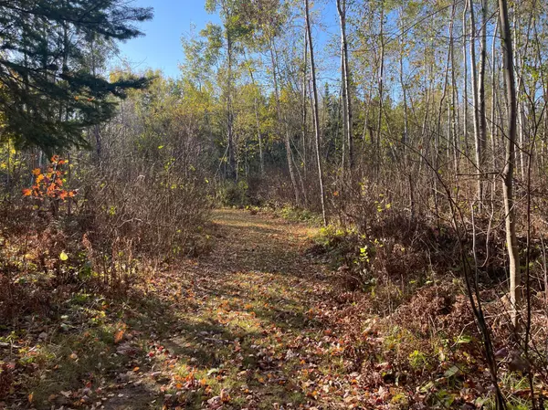 Kerrick, MN 55756,TBD-4 Oak Leaf RD