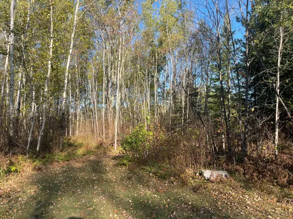 Kerrick, MN 55756,TBD-4 Oak Leaf RD