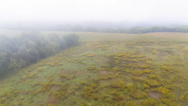 Pepin, WI 54759,TBD (Lot 2) Goat Back Road