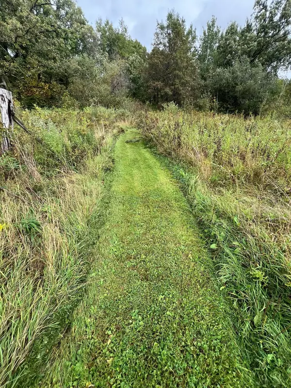 Brainerd, MN 56401,10038 County Road 8