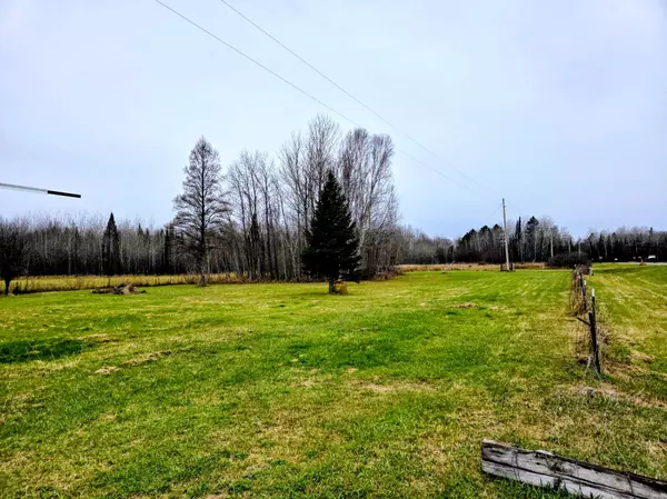 Mizpah, MN 56660,10817 County Road 25