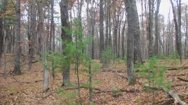 Siren Twp, WI 54872,LOT 1 Herman Johnson Rd